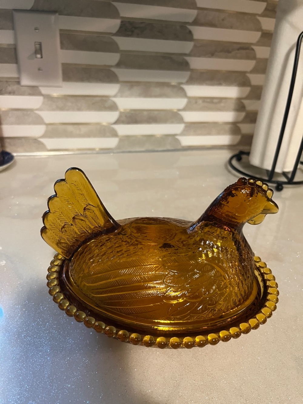Amber nesting hen
